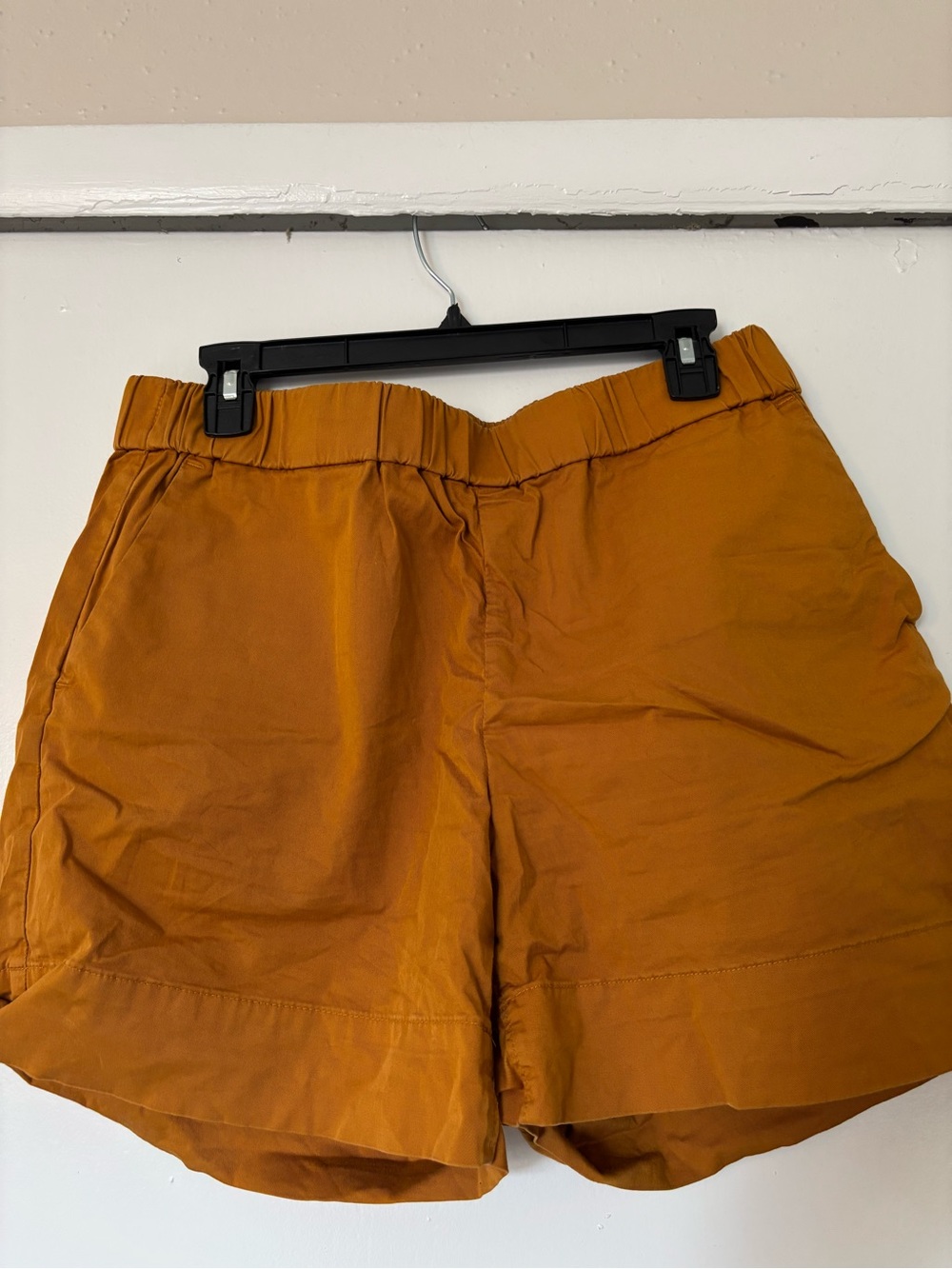 Everlane The Easy Short